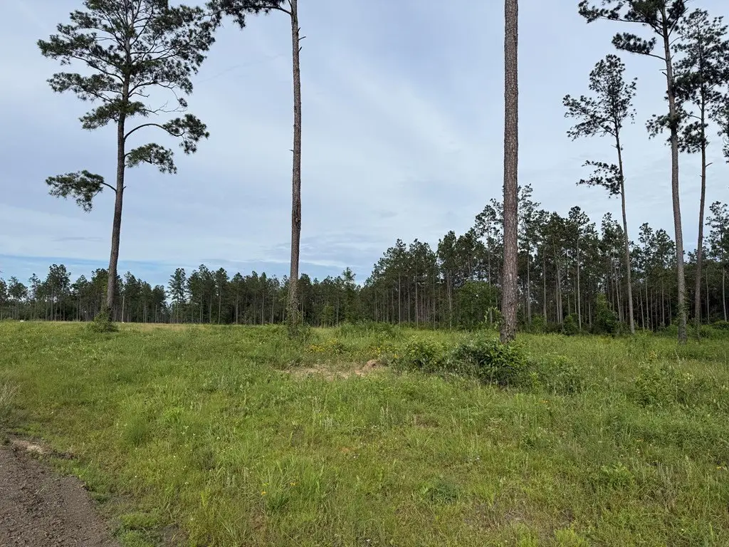 Picture 2