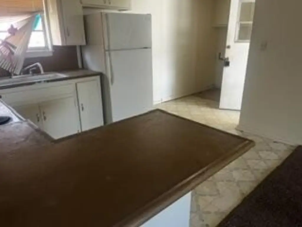 Picture 23