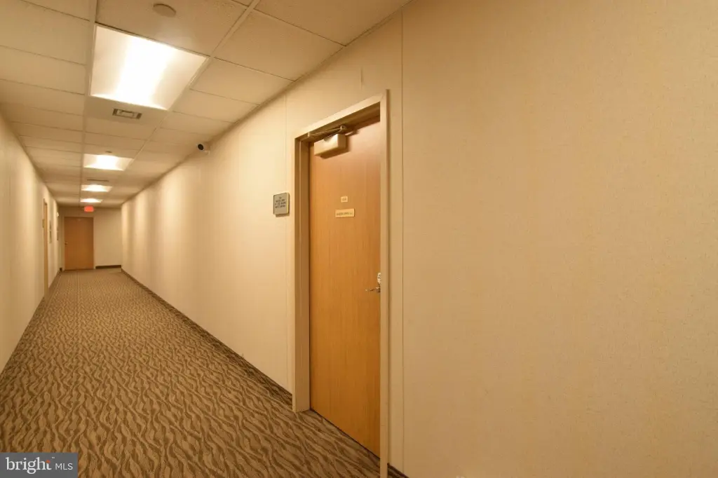 Picture 47