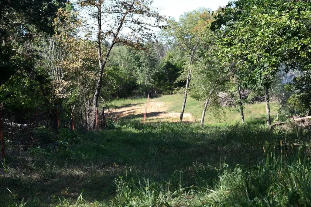 Picture 24