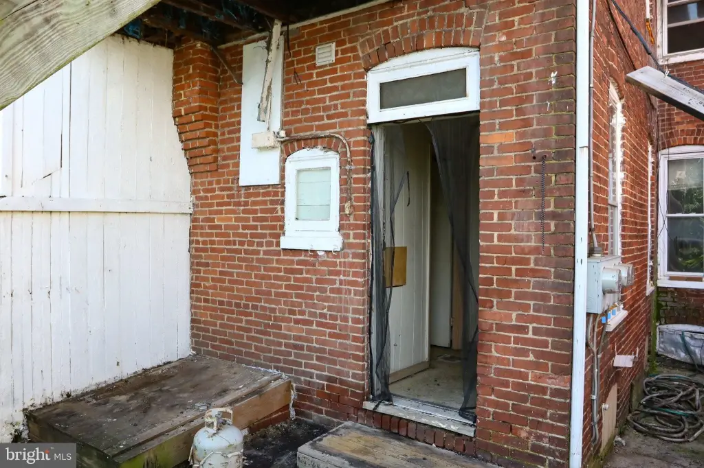 Picture 5