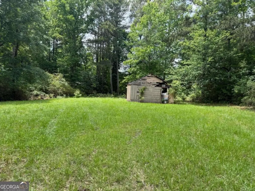 Picture 4