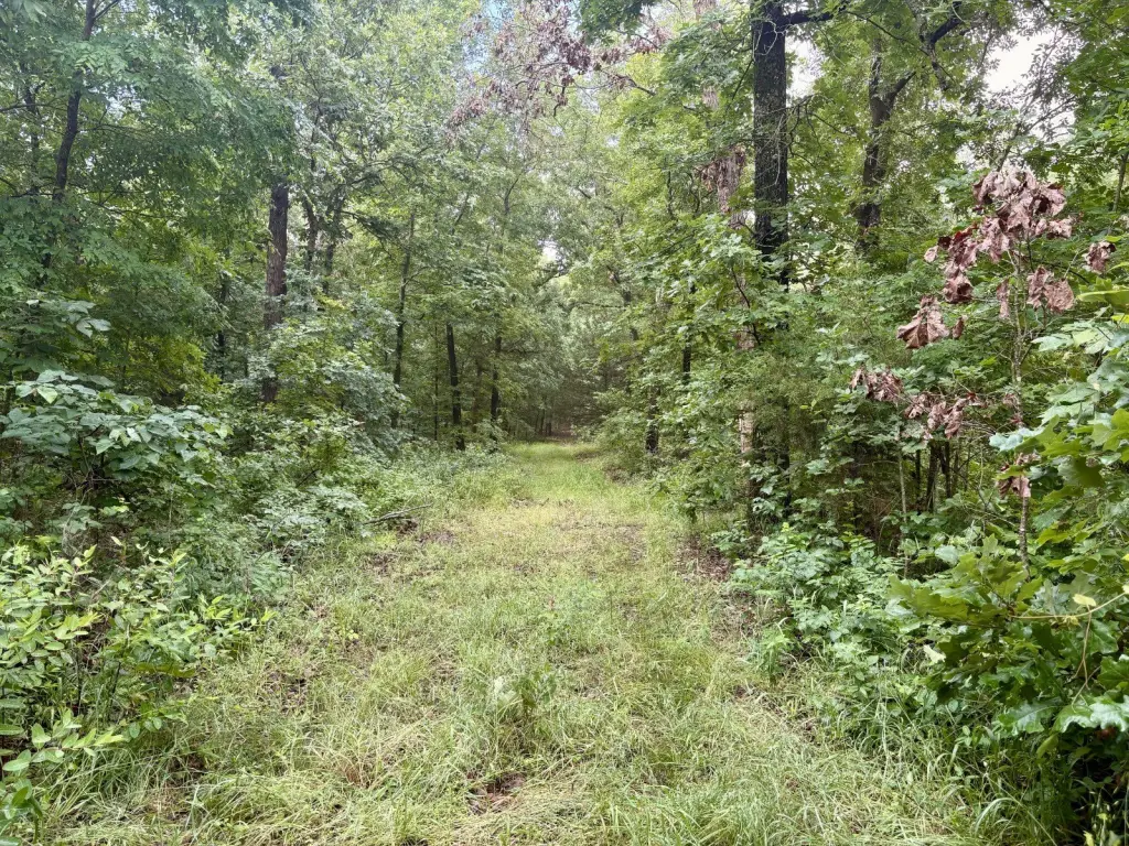 Picture 17