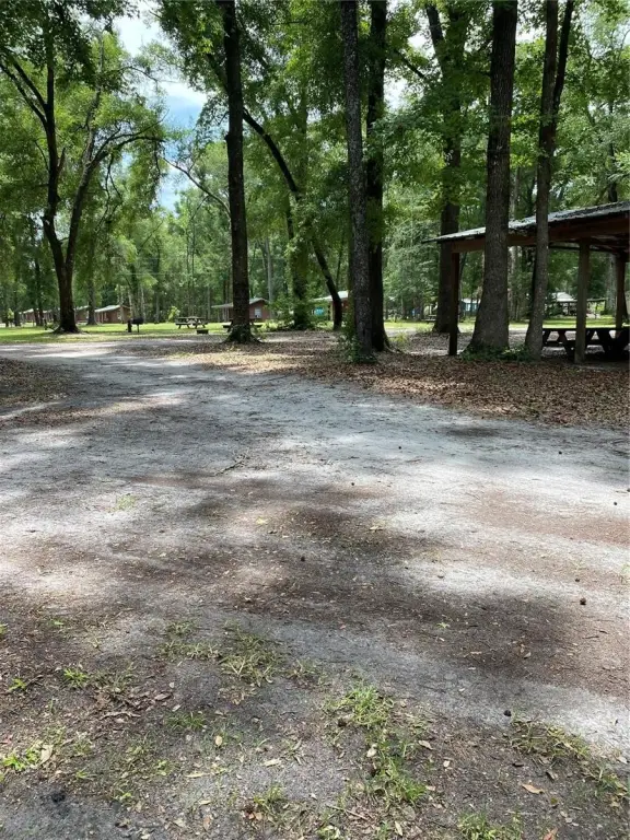 Picture 41
