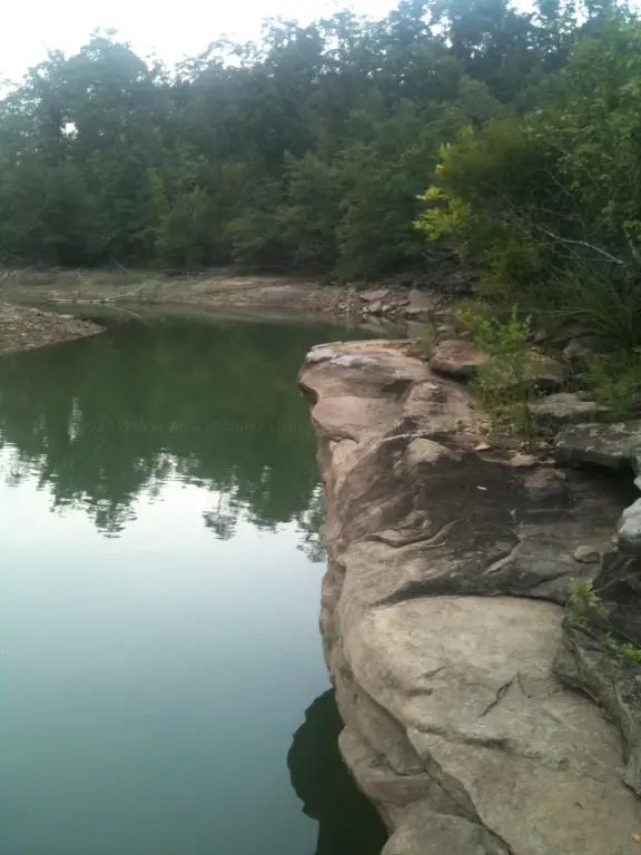 Picture 3