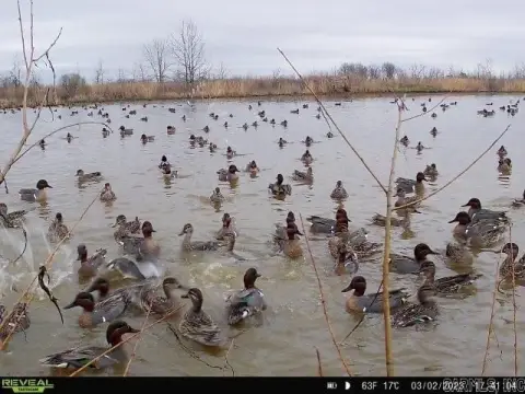 Hunting Land with Renovated Home