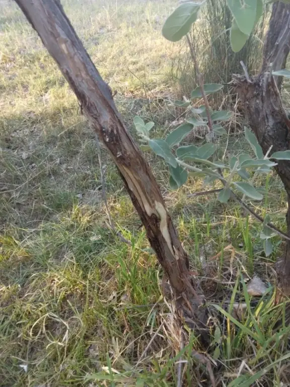 Picture 14