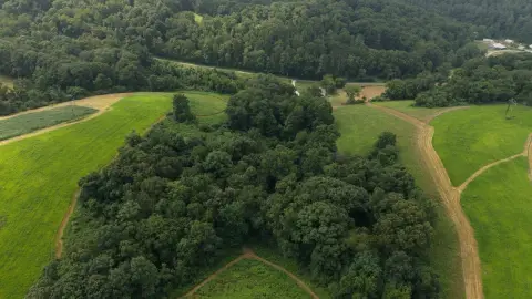 Recreational and Working Land Tract