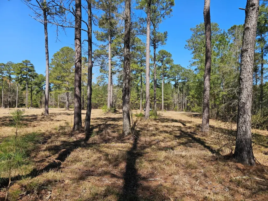 Picture 13