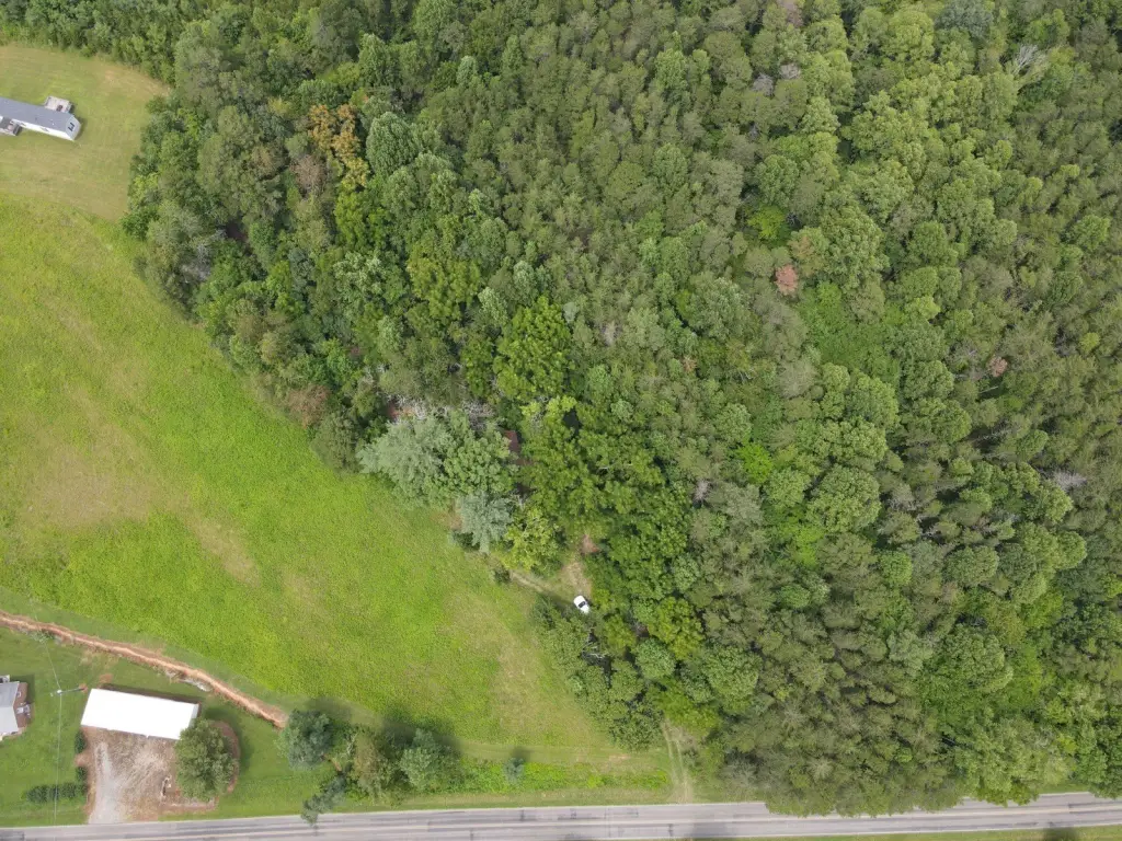 Picture 3