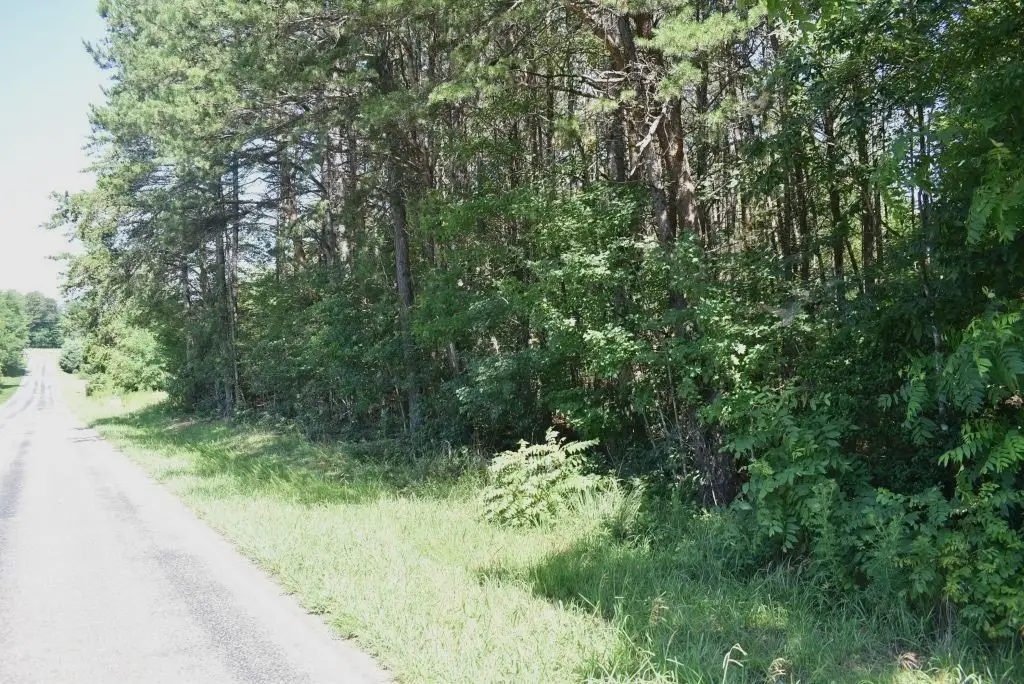 Picture 33