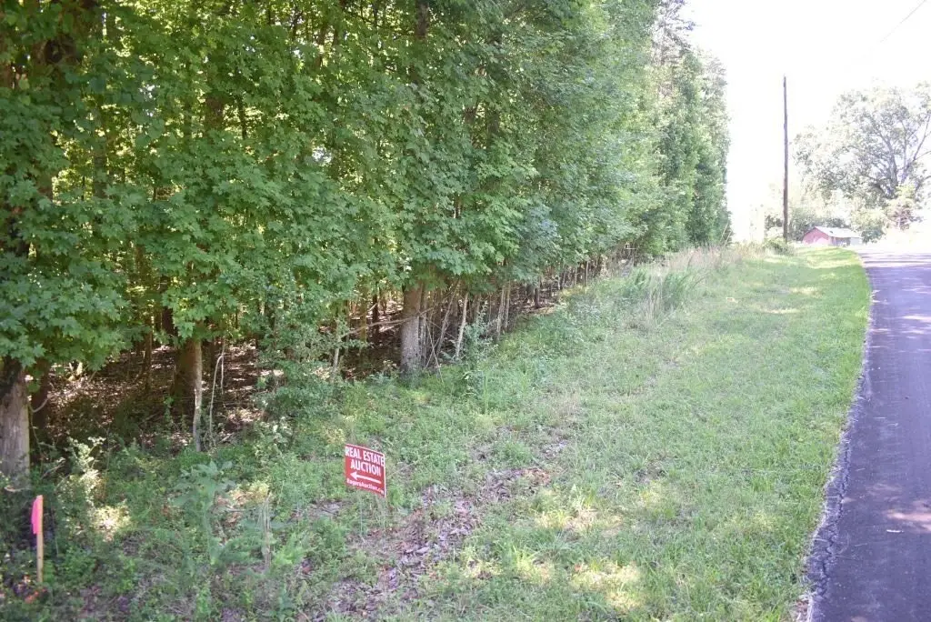 Picture 13
