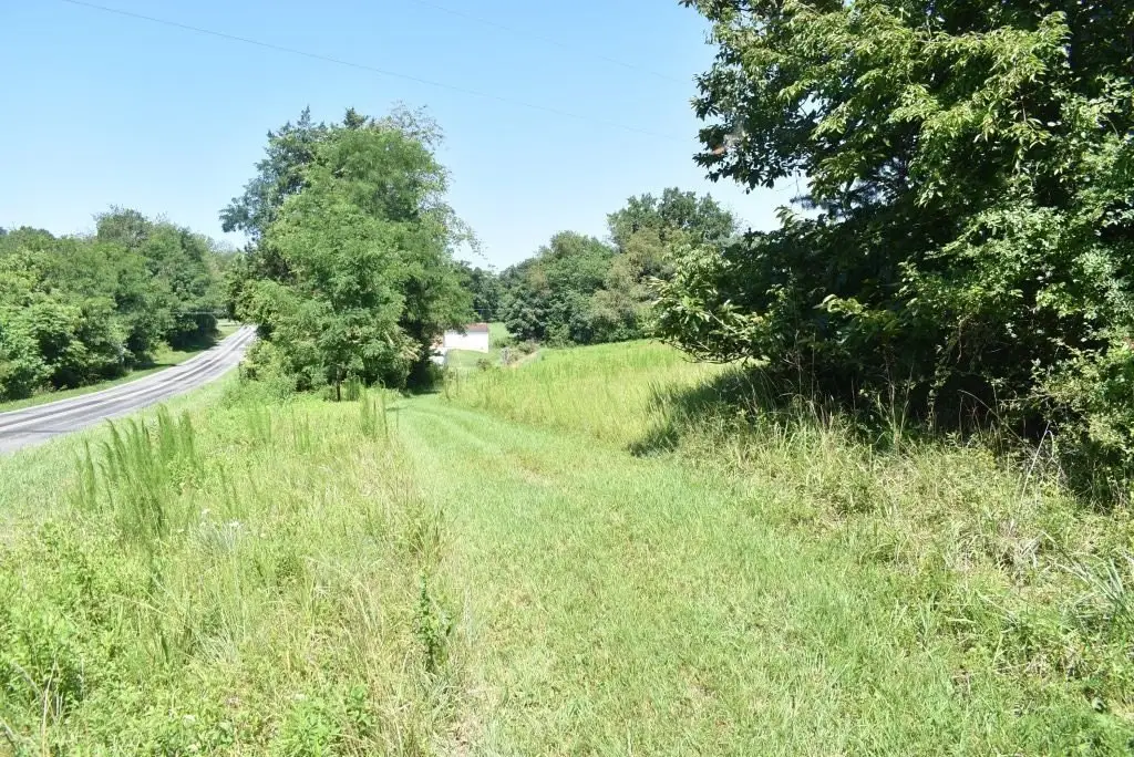 Picture 25