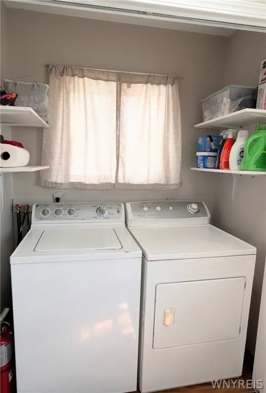 Picture 23