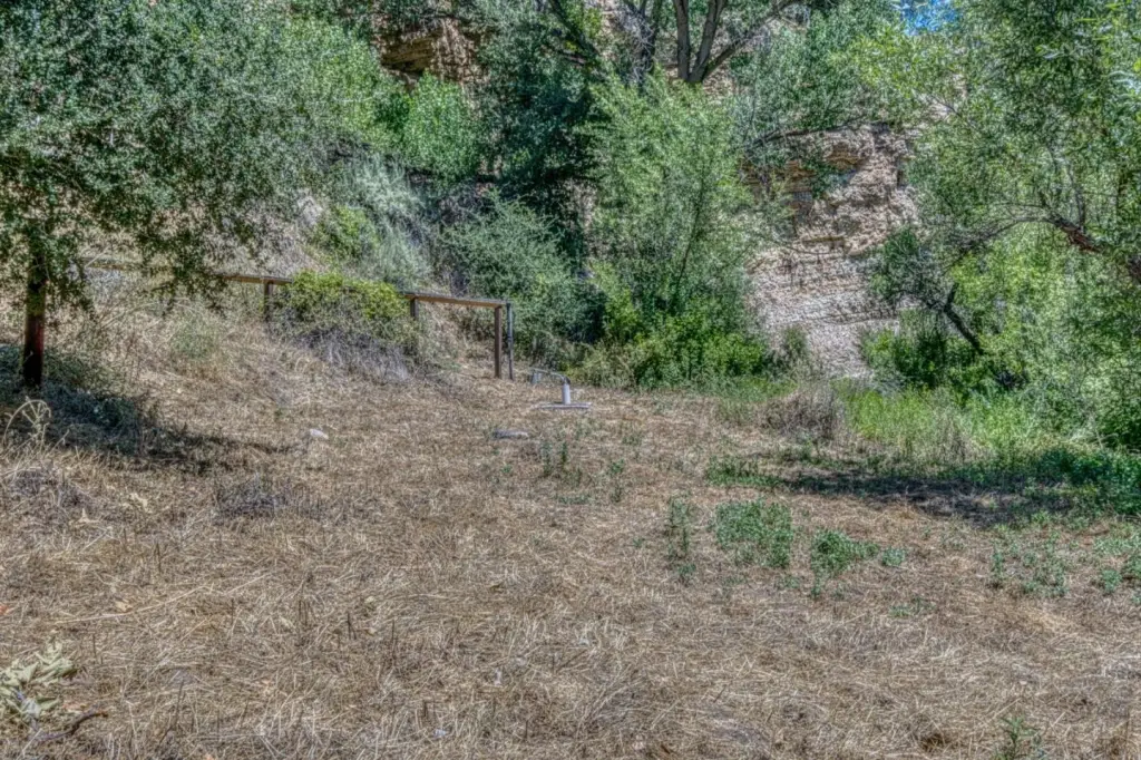 Picture 19