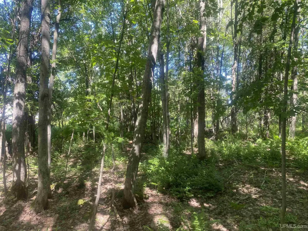 Picture 23