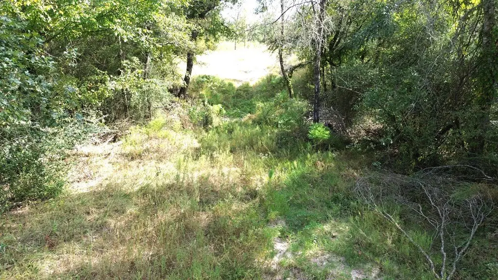Picture 27