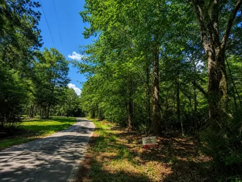 Wooded Residential Homesite