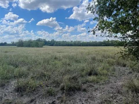 77 Acres Pasture Bottom Land