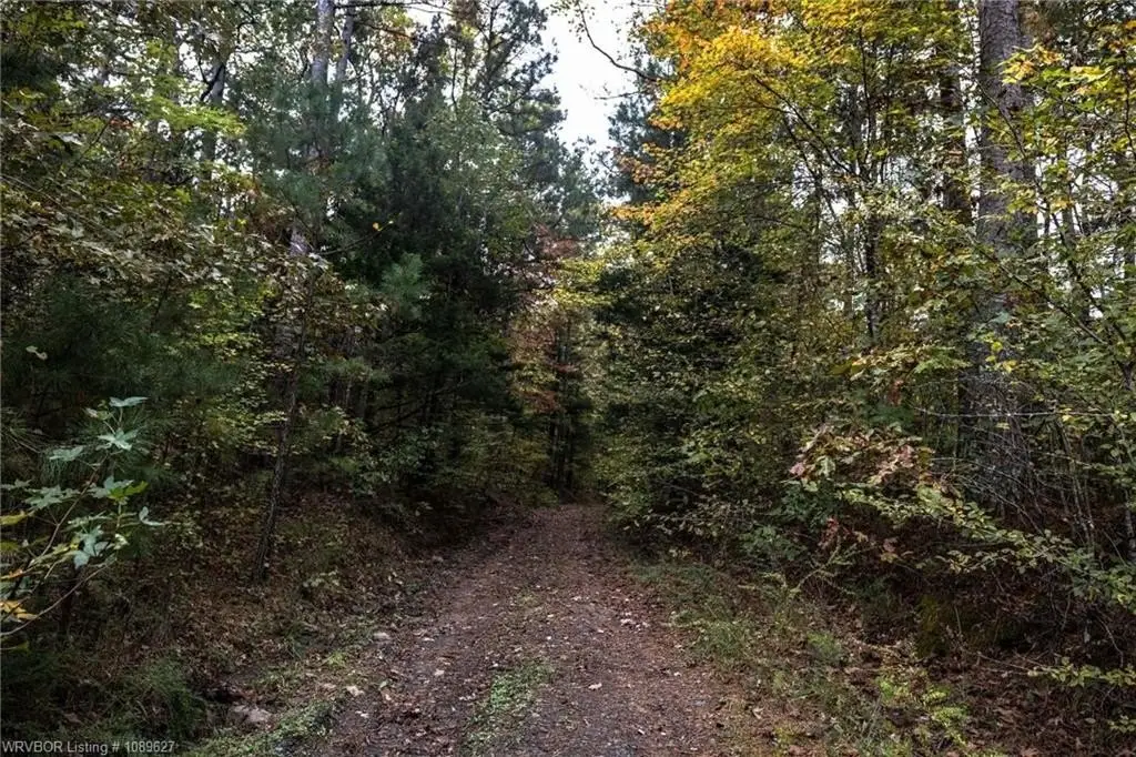 Picture 13
