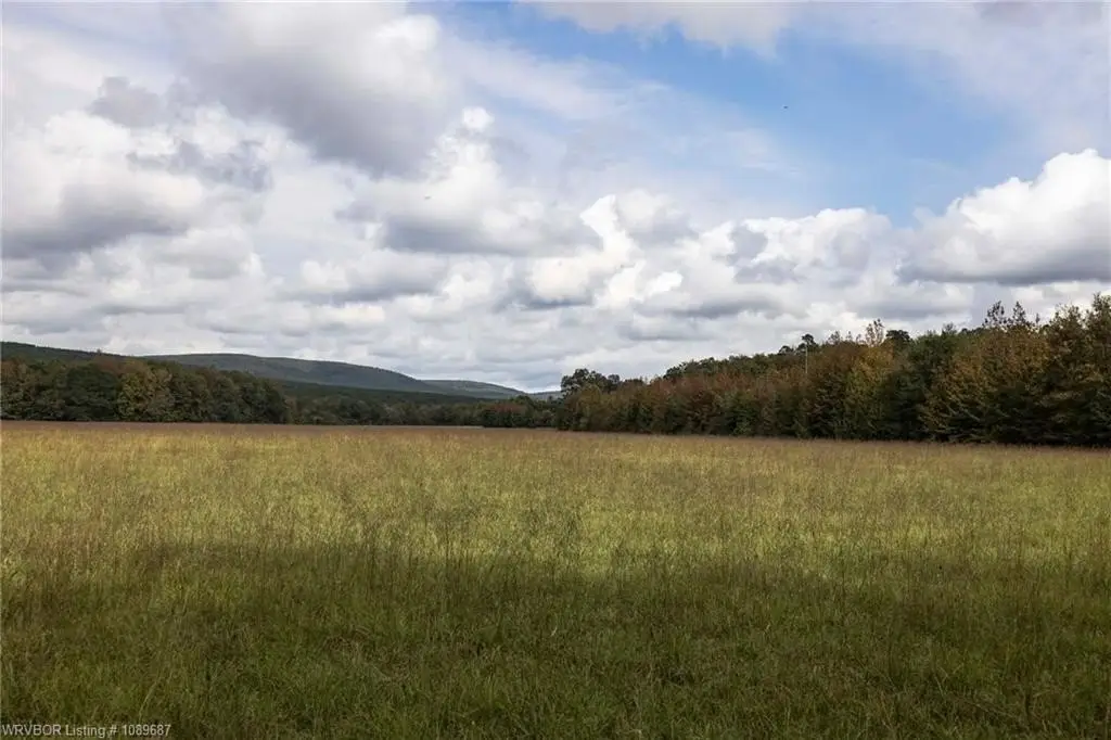 Picture 19