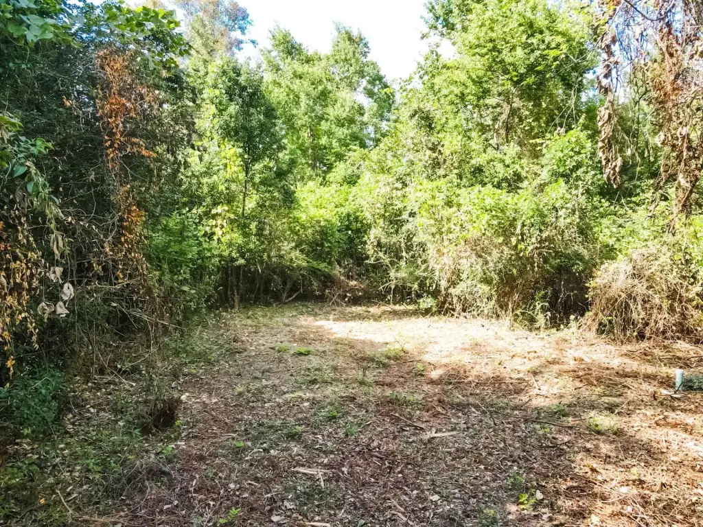 Picture 6