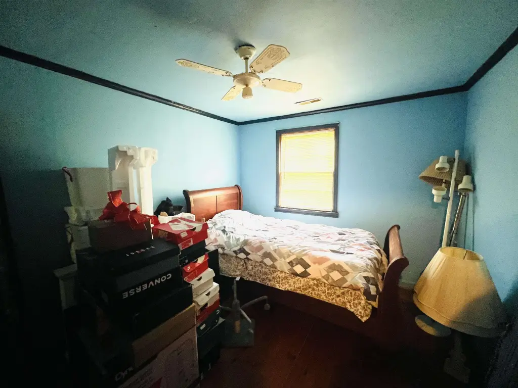 Picture 31