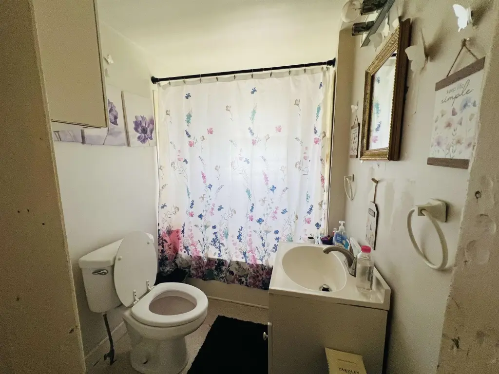 Picture 33
