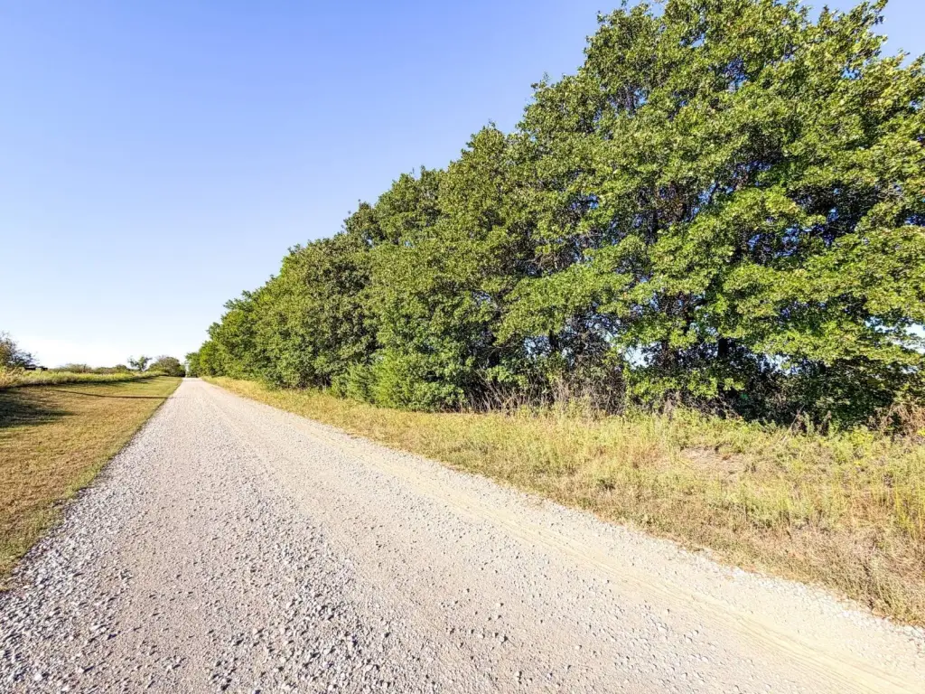 Picture 29