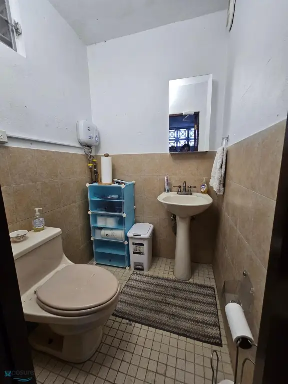 Picture 3