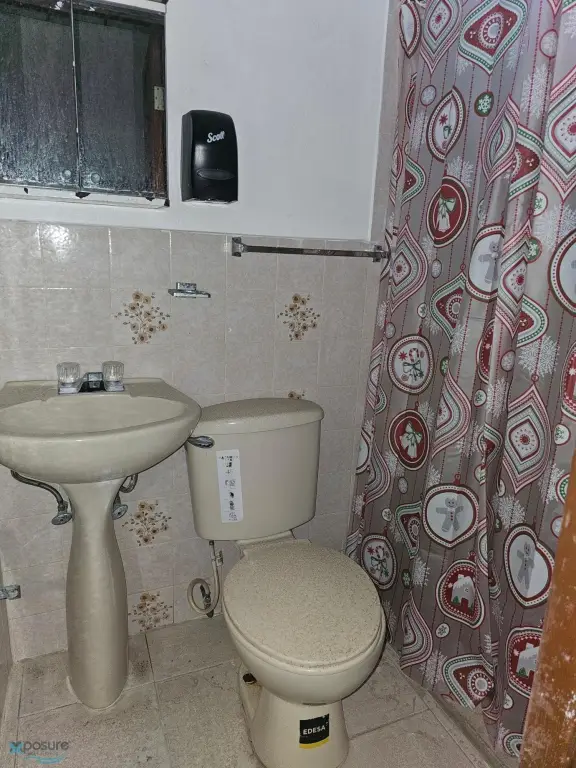 Picture 14