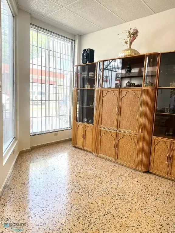 Picture 21