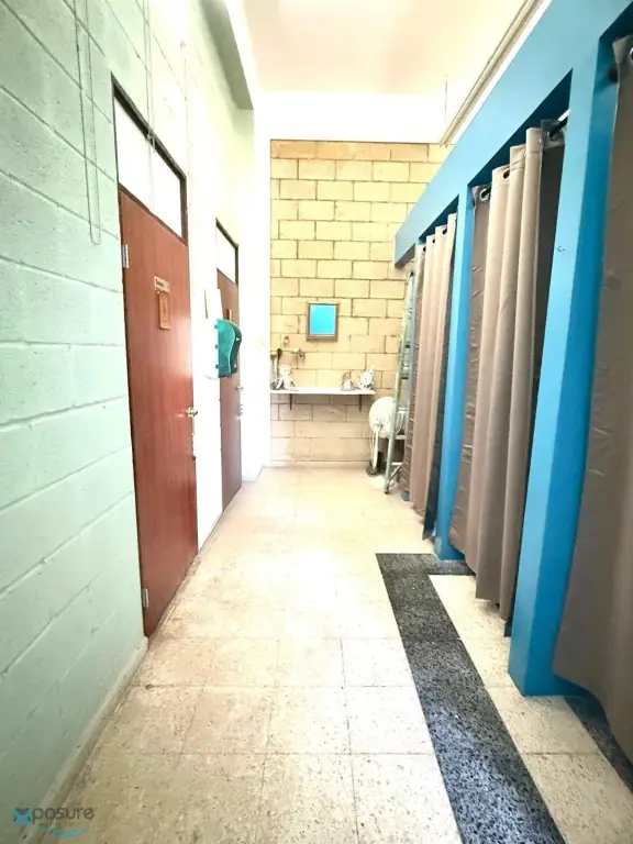 Picture 15