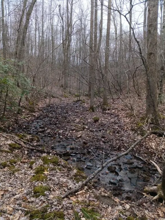 Picture 13