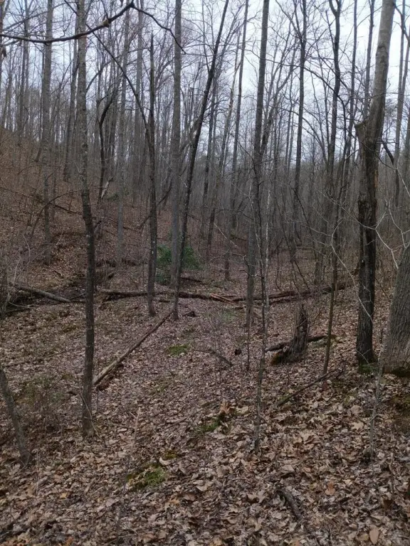 Picture 14