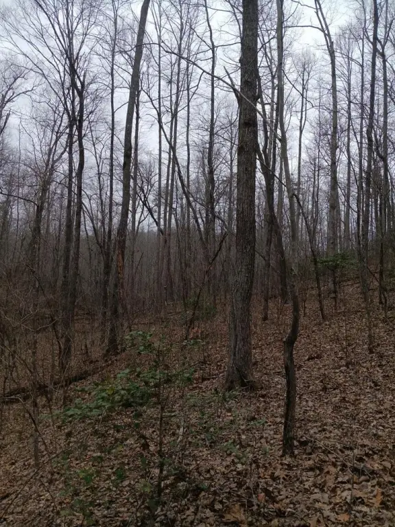 Picture 15
