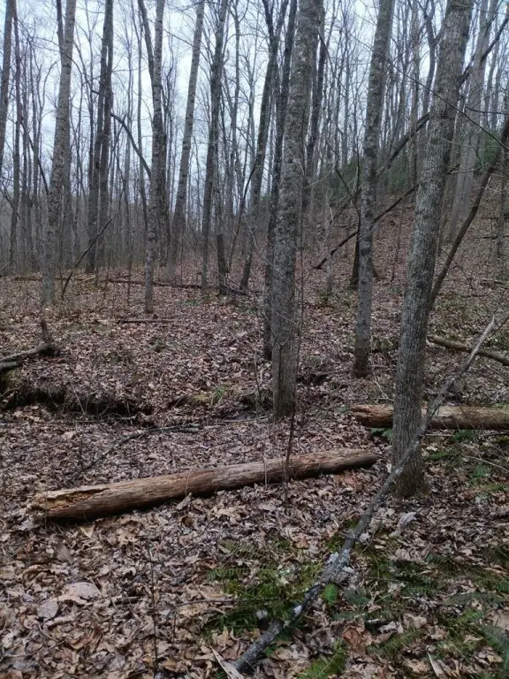 Picture 18