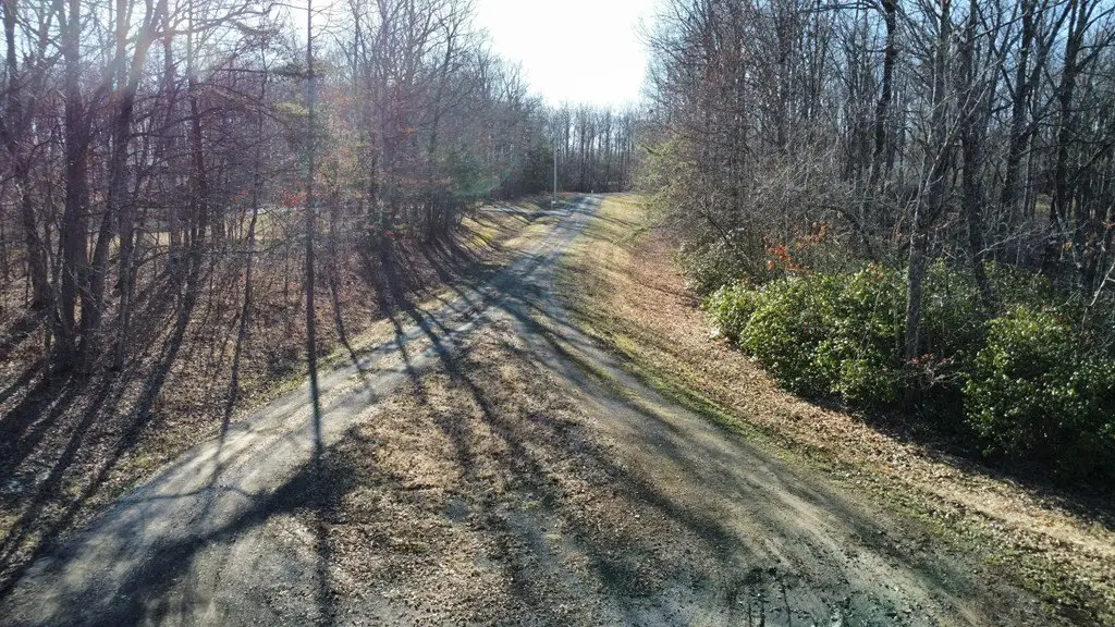 Picture 21