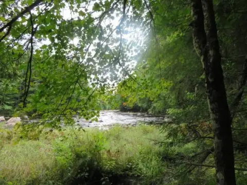 8.6 Acres with Creek Frontage