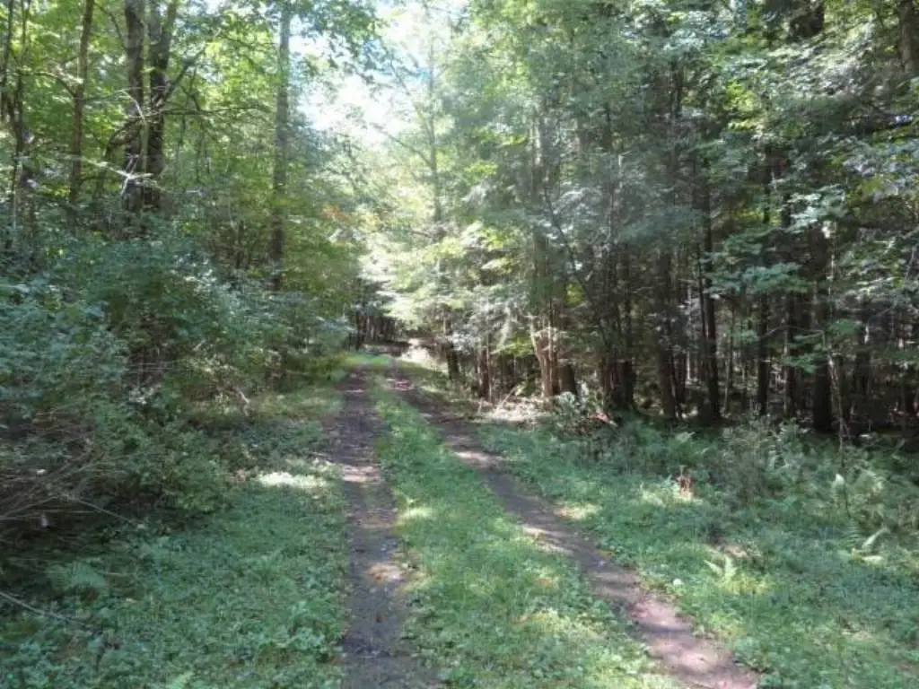 Picture 18