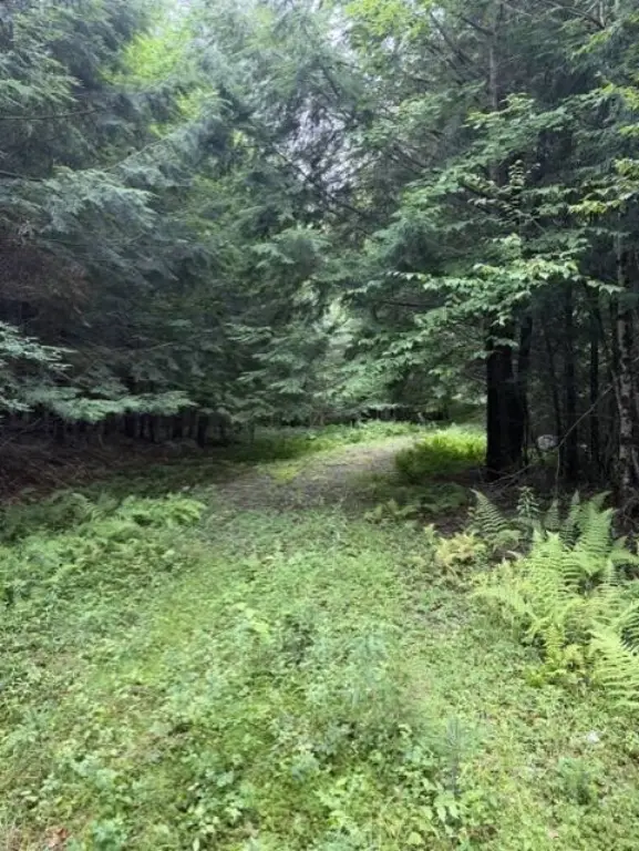 Picture 23