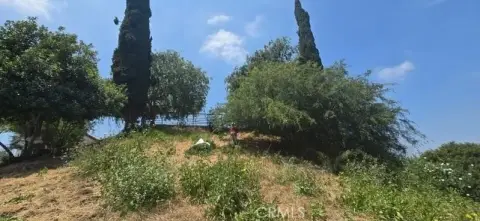 Residential Lot in Glassell Park