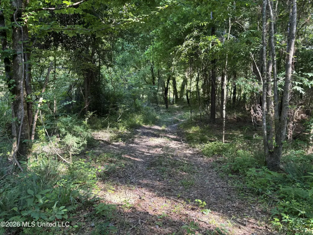 Picture 16