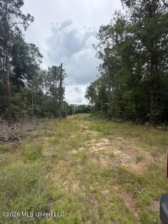 Picture 4