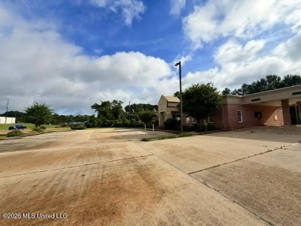Picture 5
