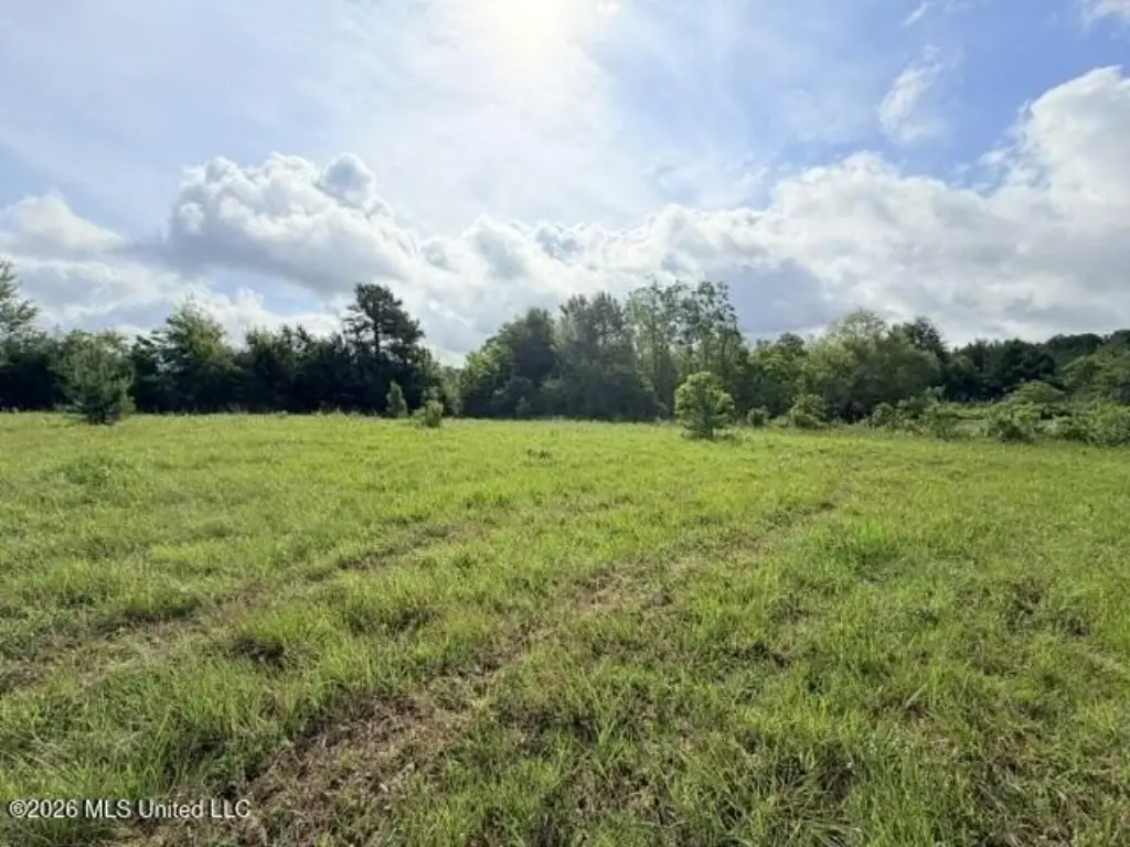 Picture 17