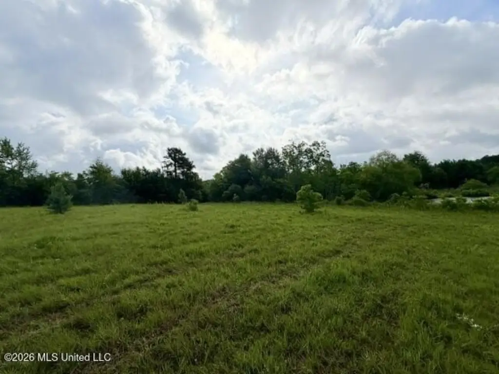Picture 13
