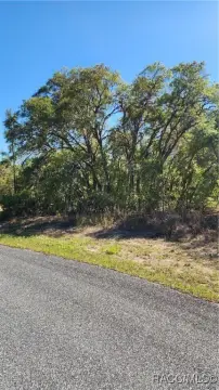 Dunnellon, FL Homesite