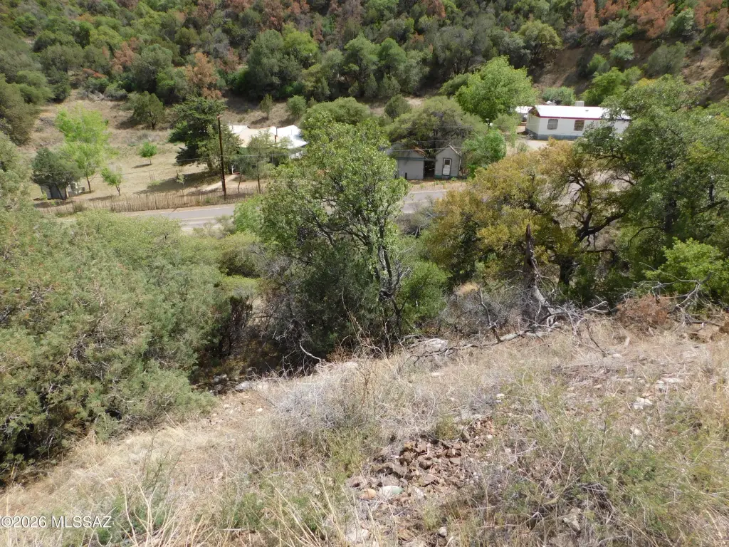 Picture 29