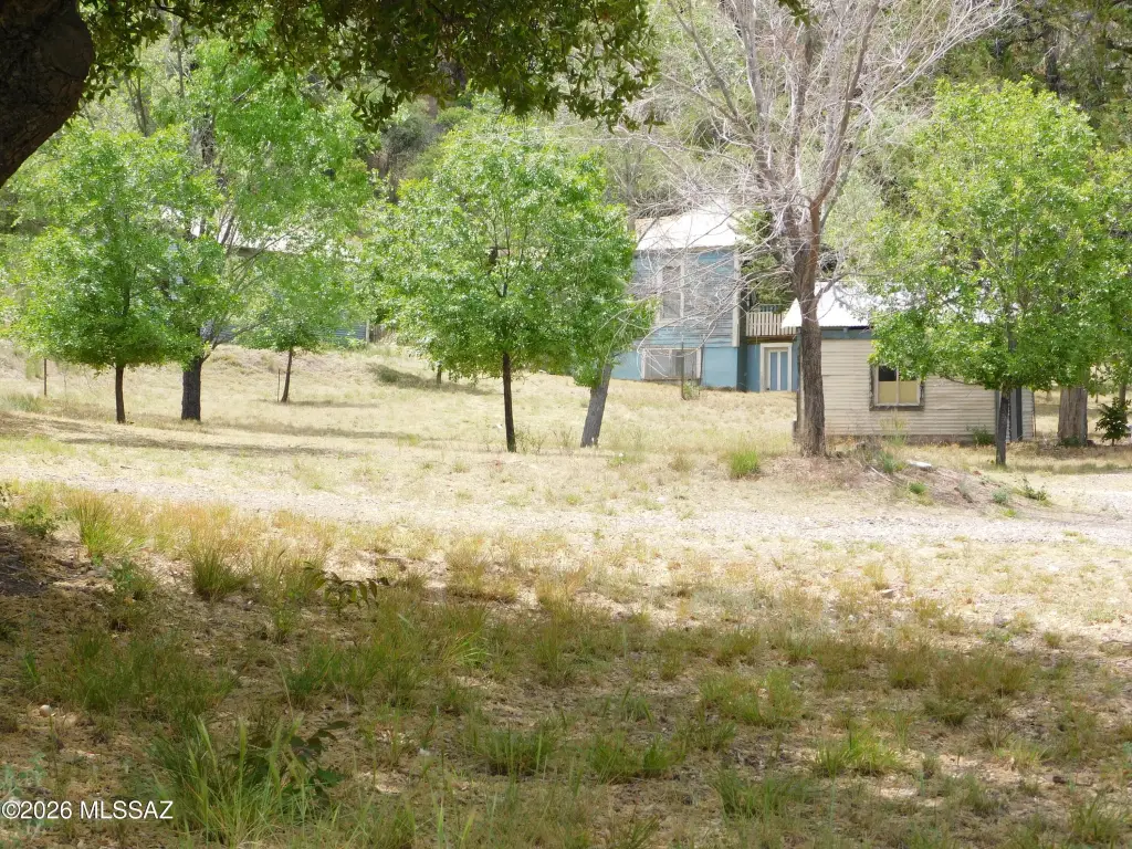 Picture 19